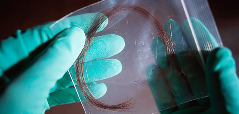 Illustration for article titled Condenado a cadena perpetua por culpa de un mechón de pelo. 28 años después se descubre que era pelo de perro